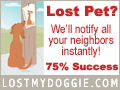 LostMyDoggie.com