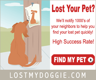 LostMyDoggie.com