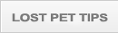 Lost Dog Recovery Tips