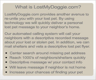 What Is LostMyDoggie.com