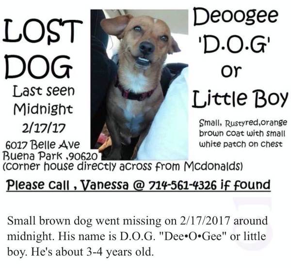 Image of Deeogee 'DOG', Lost Dog