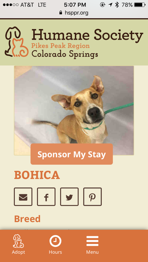 Image of Bohica, Lost Dog