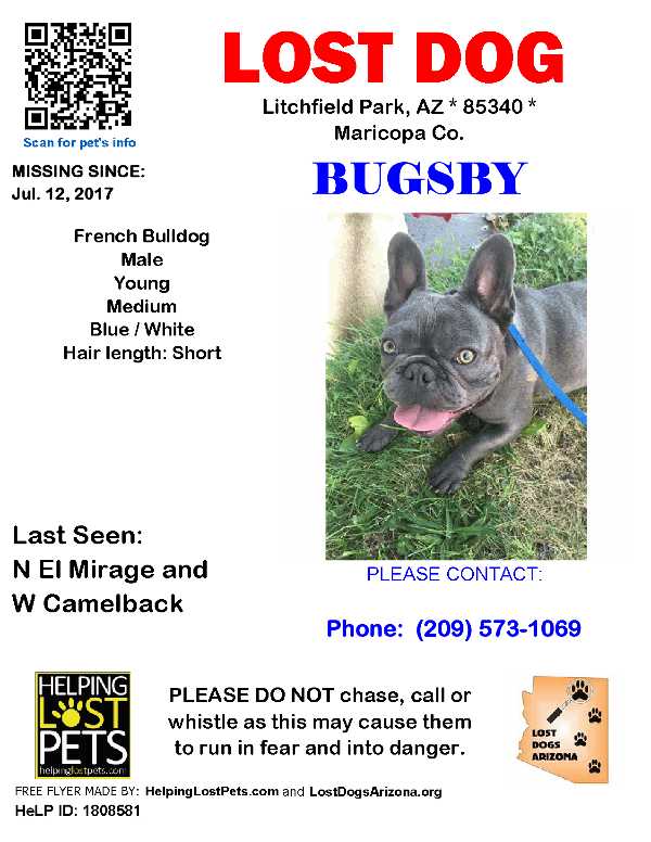 Image of Bugsby, Lost Dog