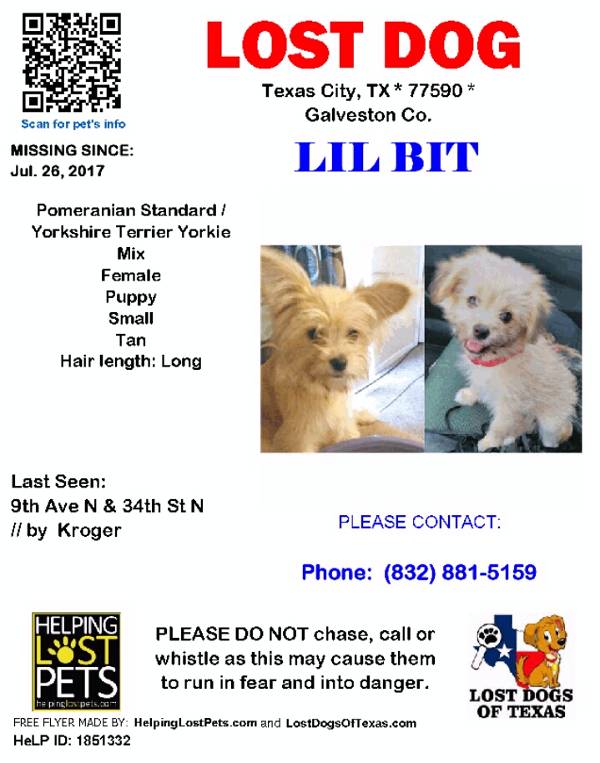 Image of Lil Bit, Lost Dog