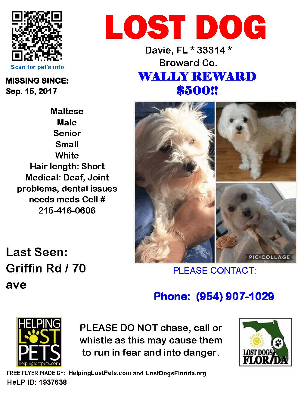 Image of Wally, Lost Dog