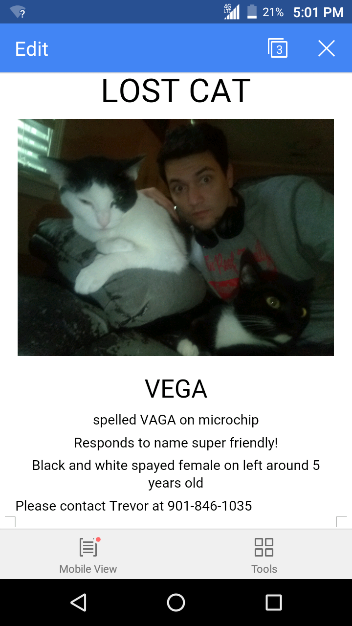 Image of Vega, Lost Cat