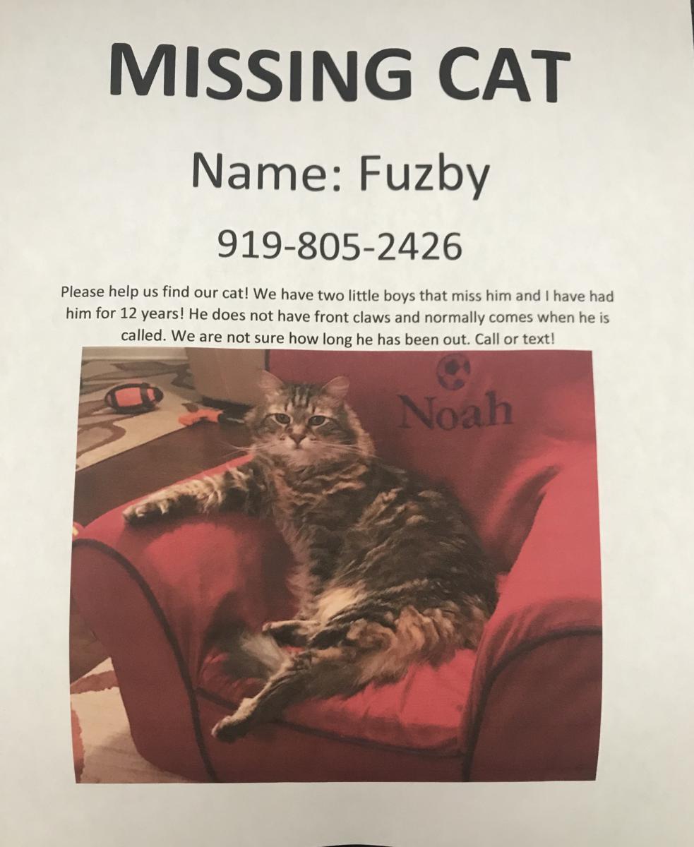 Image of Fuzby, Lost Cat