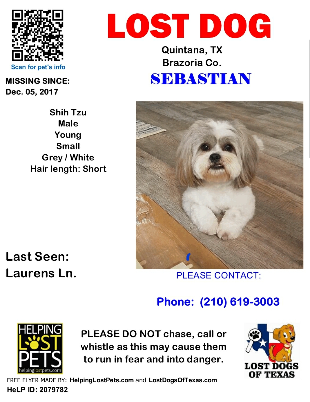 Image of Sebastian, Lost Dog
