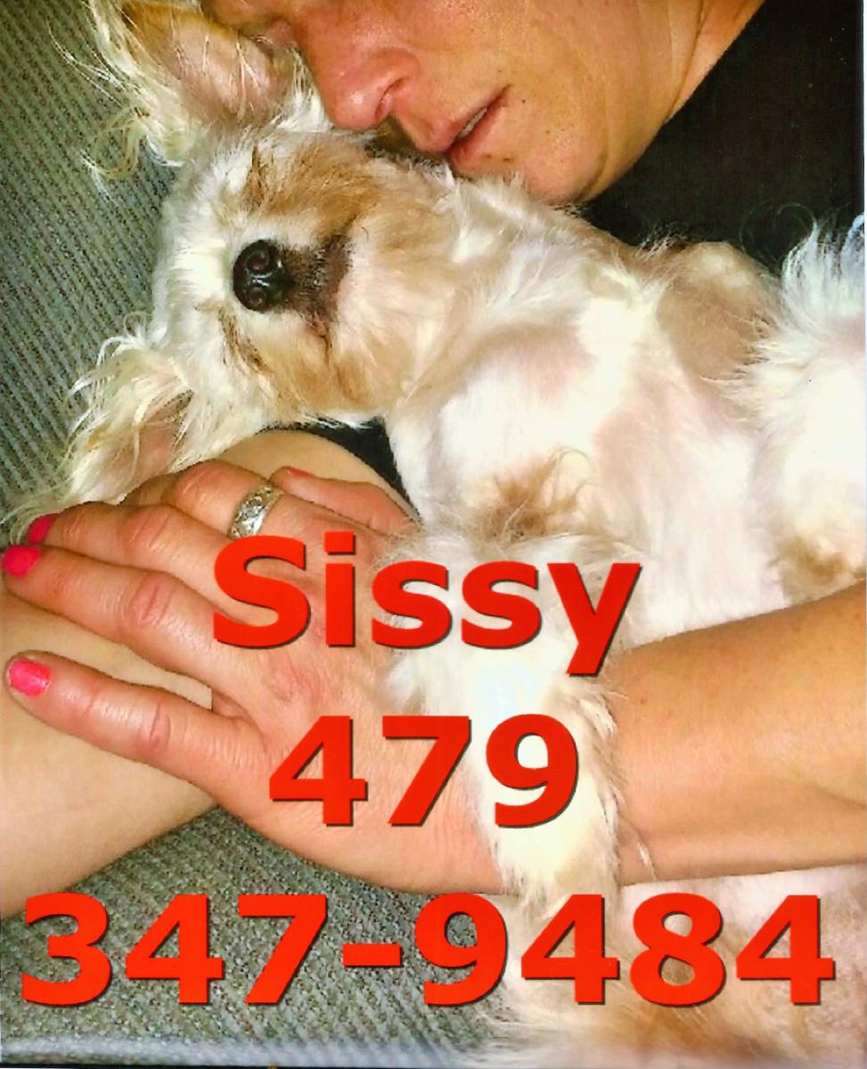 Image of sissy  (all white), Lost Dog