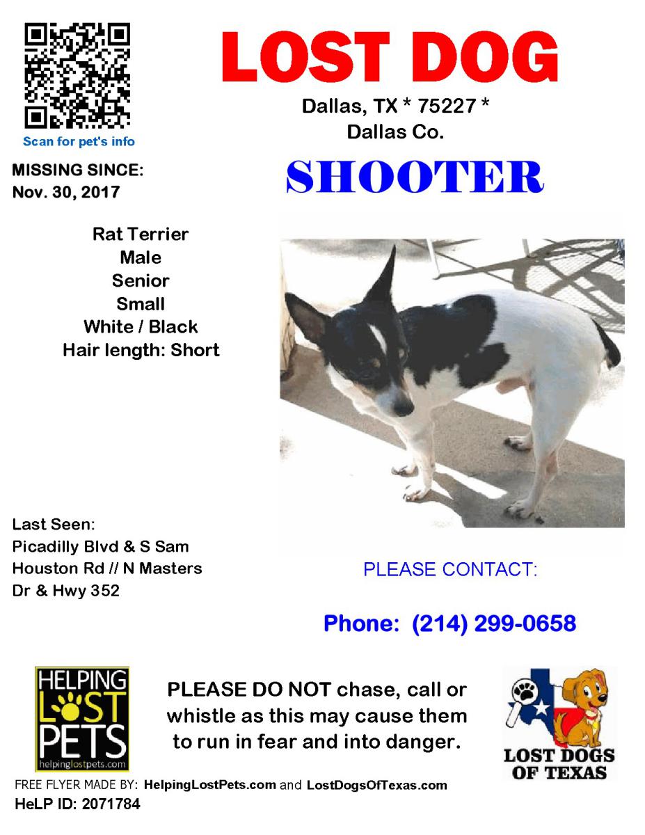 Image of Shooter, Lost Dog
