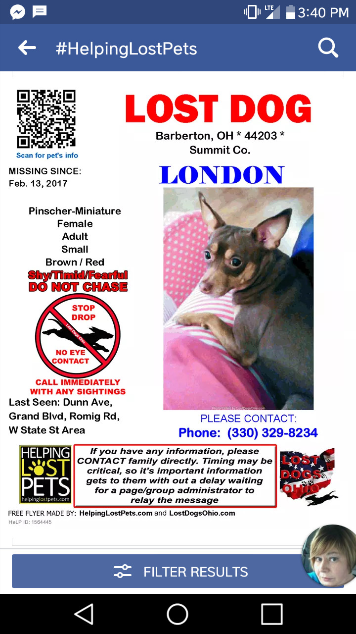 Image of London, Lost Dog