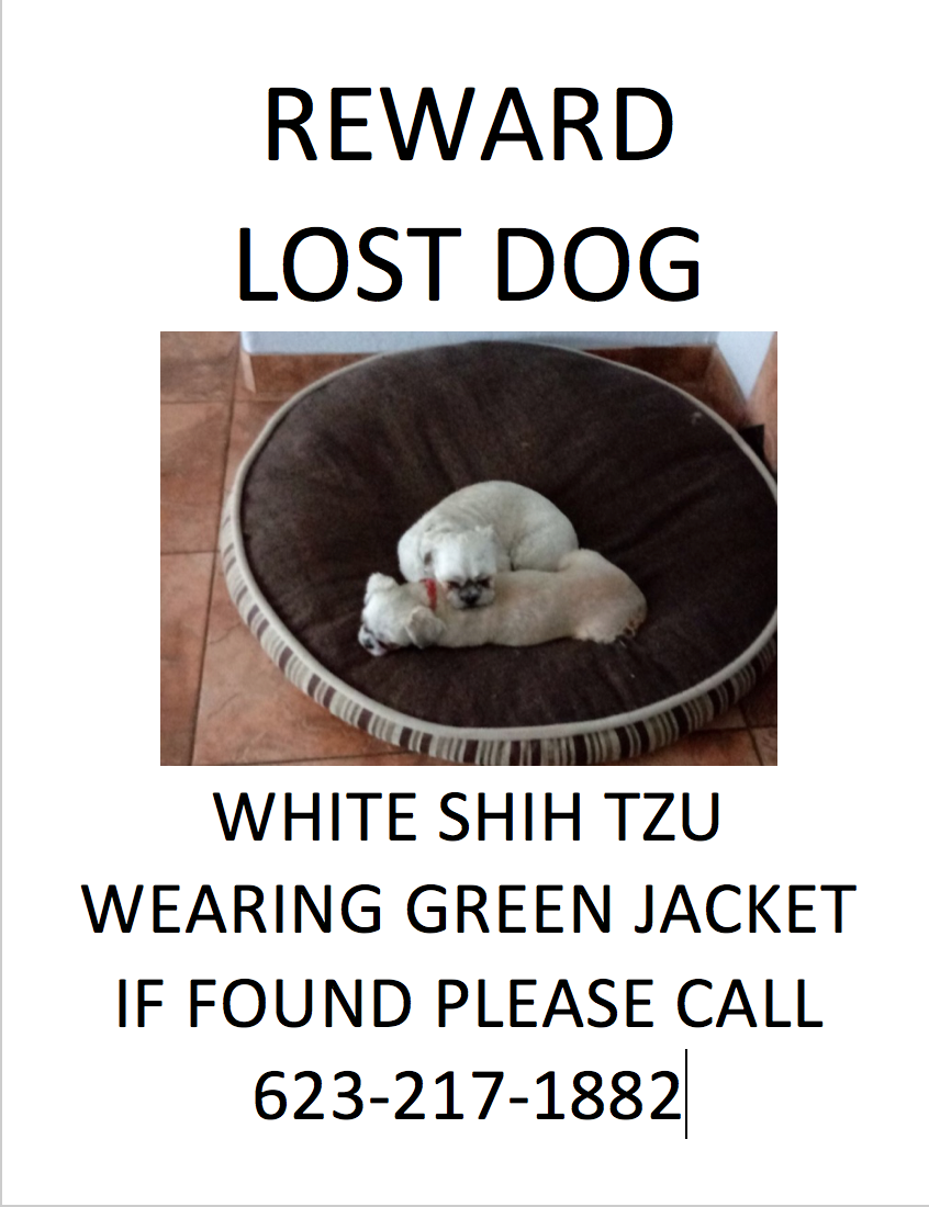Image of Clive, Lost Dog