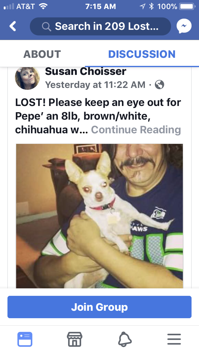 Image of Pepe, Lost Dog