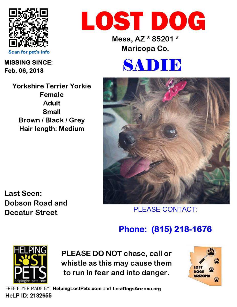 Image of Sadie, Lost Dog