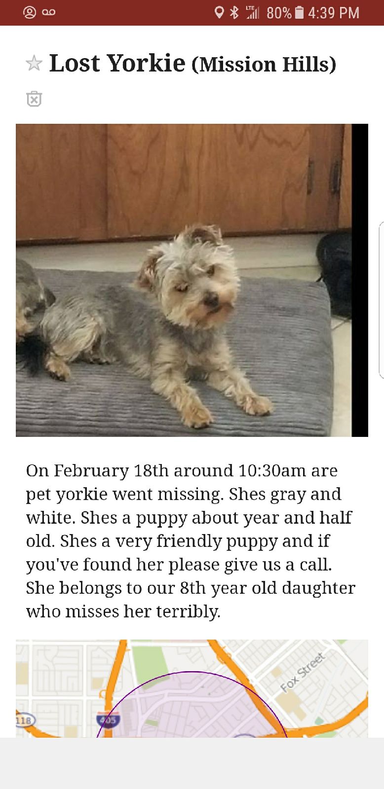 Image of Pepper, Lost Dog