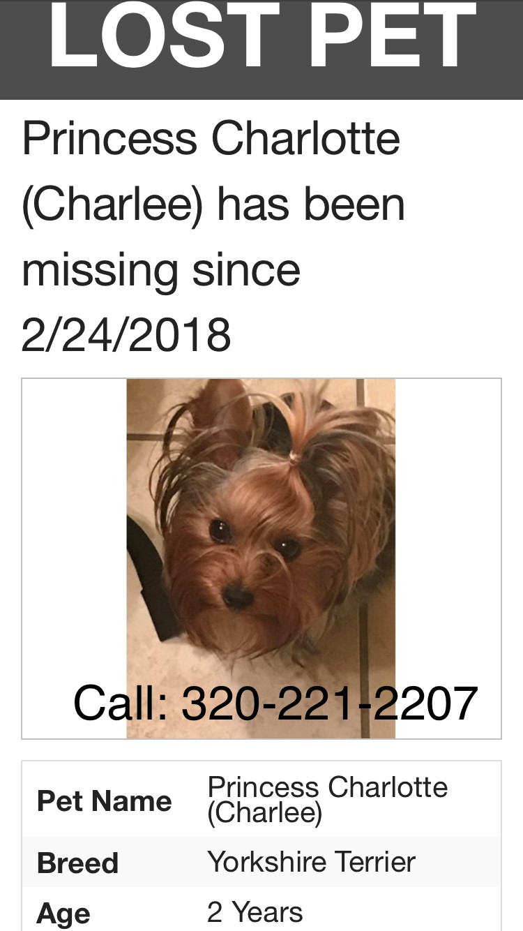 Image of Charlee, Lost Dog