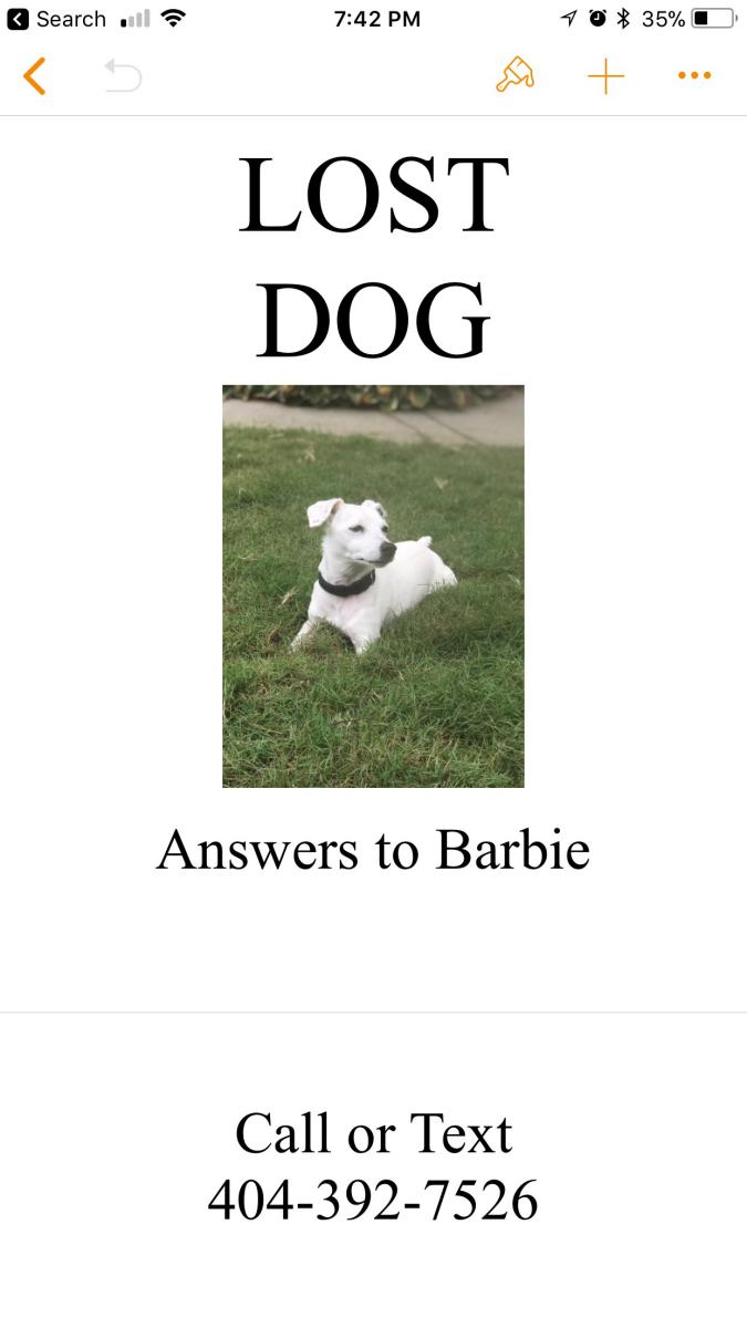 Image of Barbie, Lost Dog