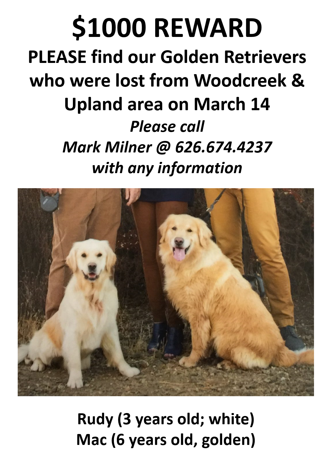 Image of Mac and Rudy, Lost Dog