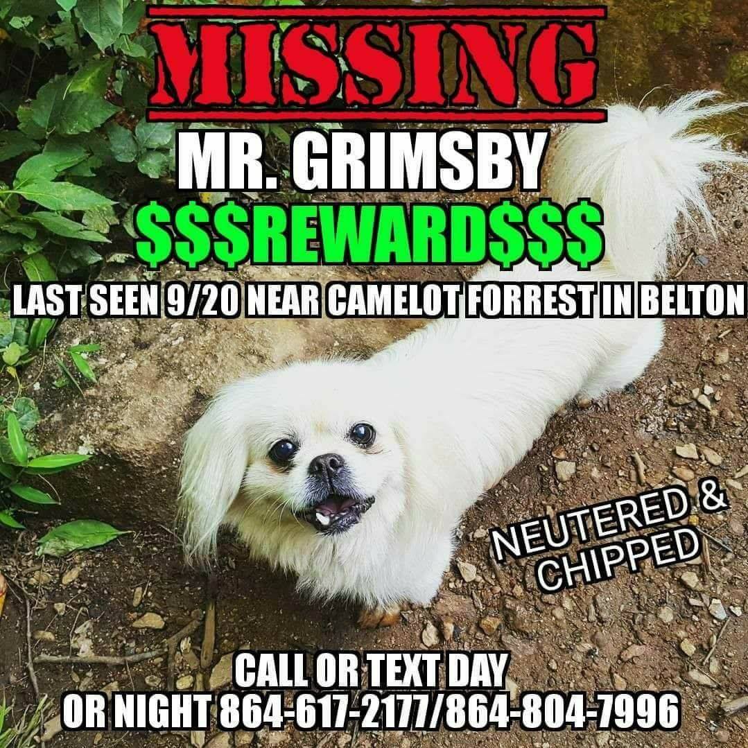 Image of Mr. Grimsby, Lost Dog