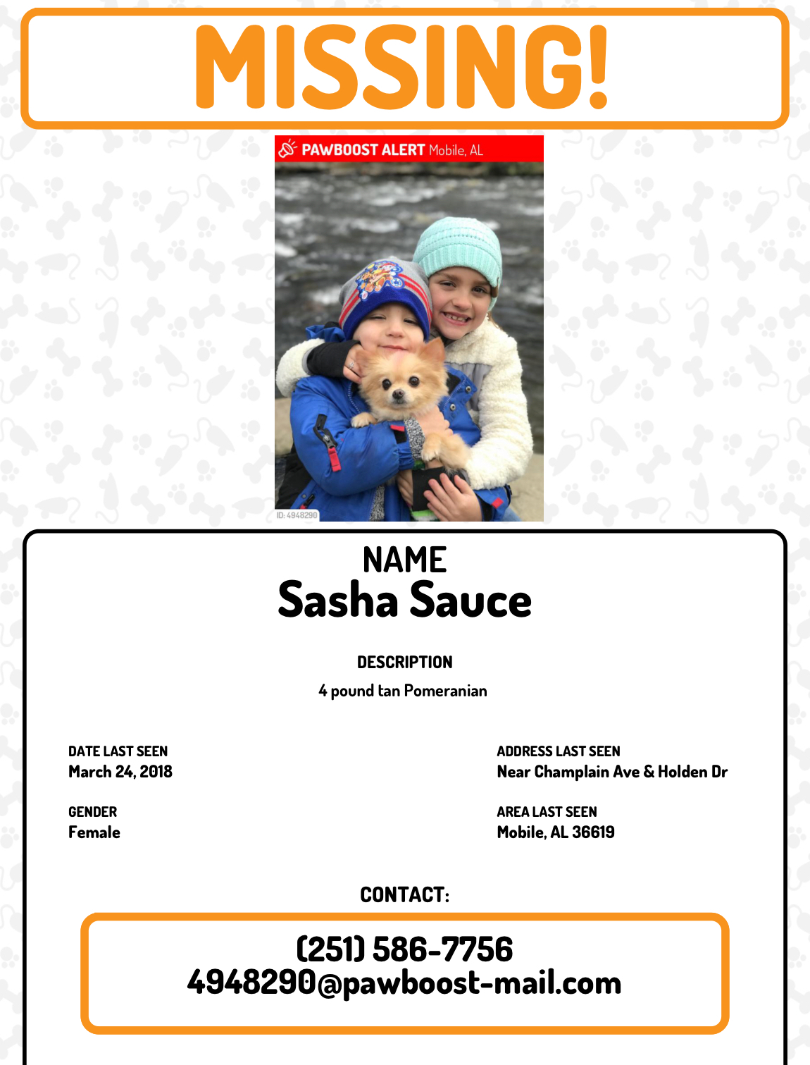Image of Sasha sauce, Lost Dog