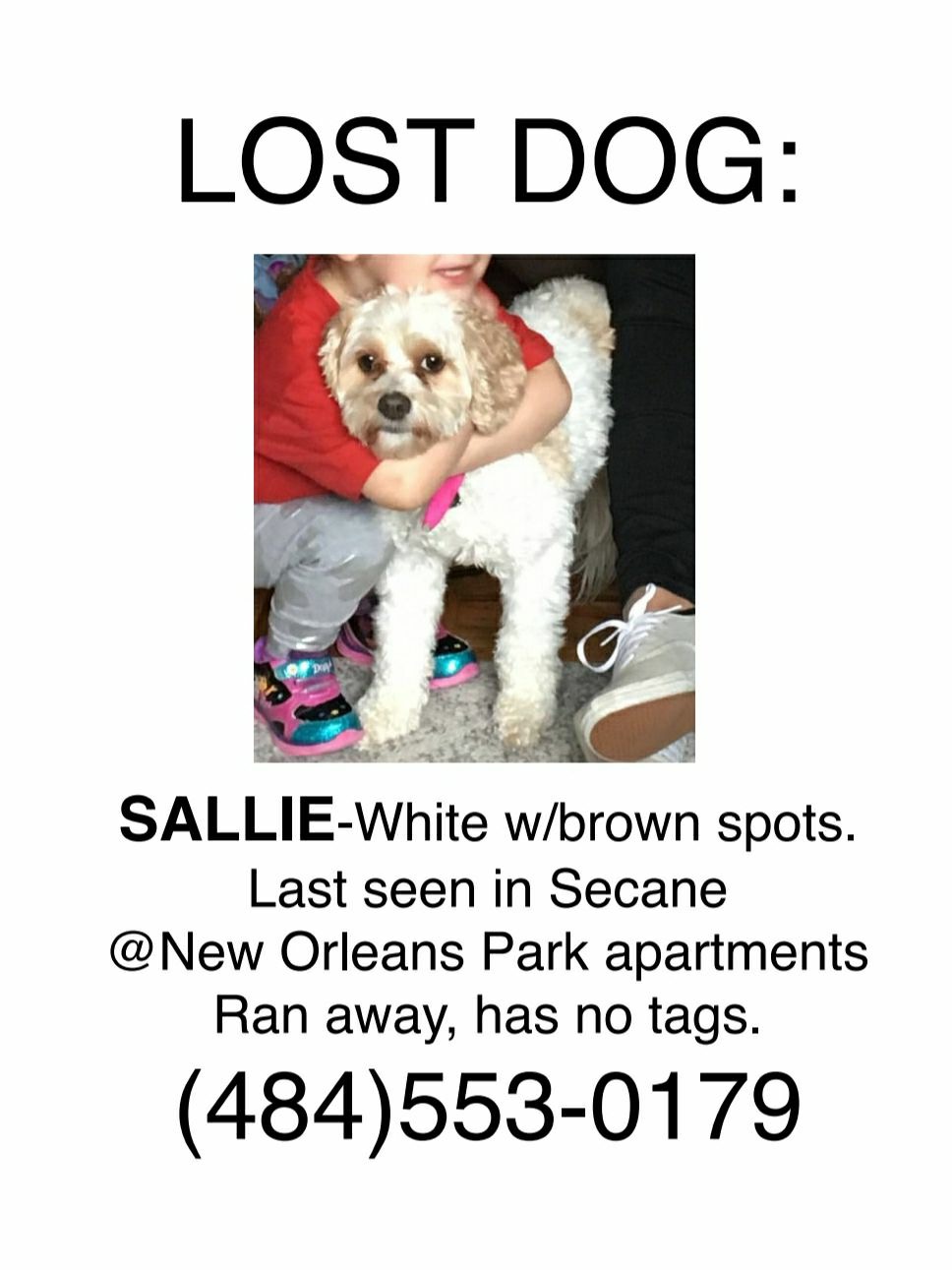 Image of Sallie, Lost Dog
