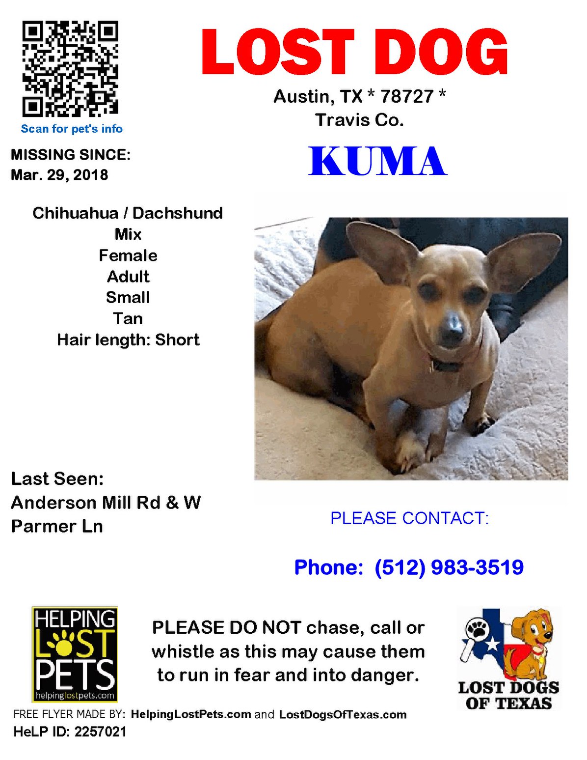Image of Kuma, Lost Dog