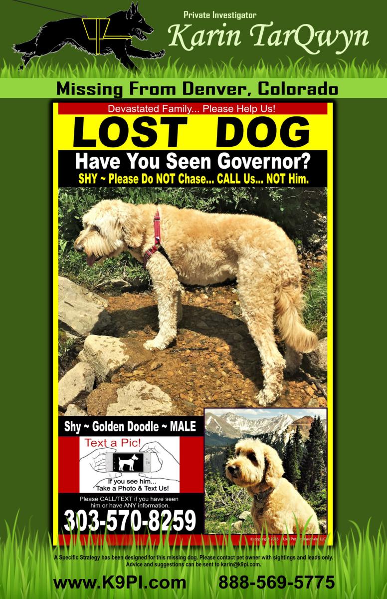 Image of Governor, Lost Dog