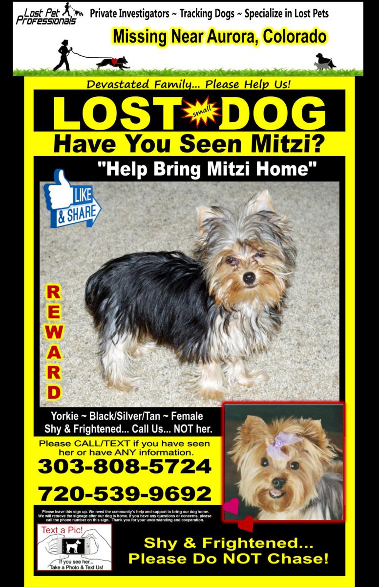 Image of Mitzi, Lost Dog
