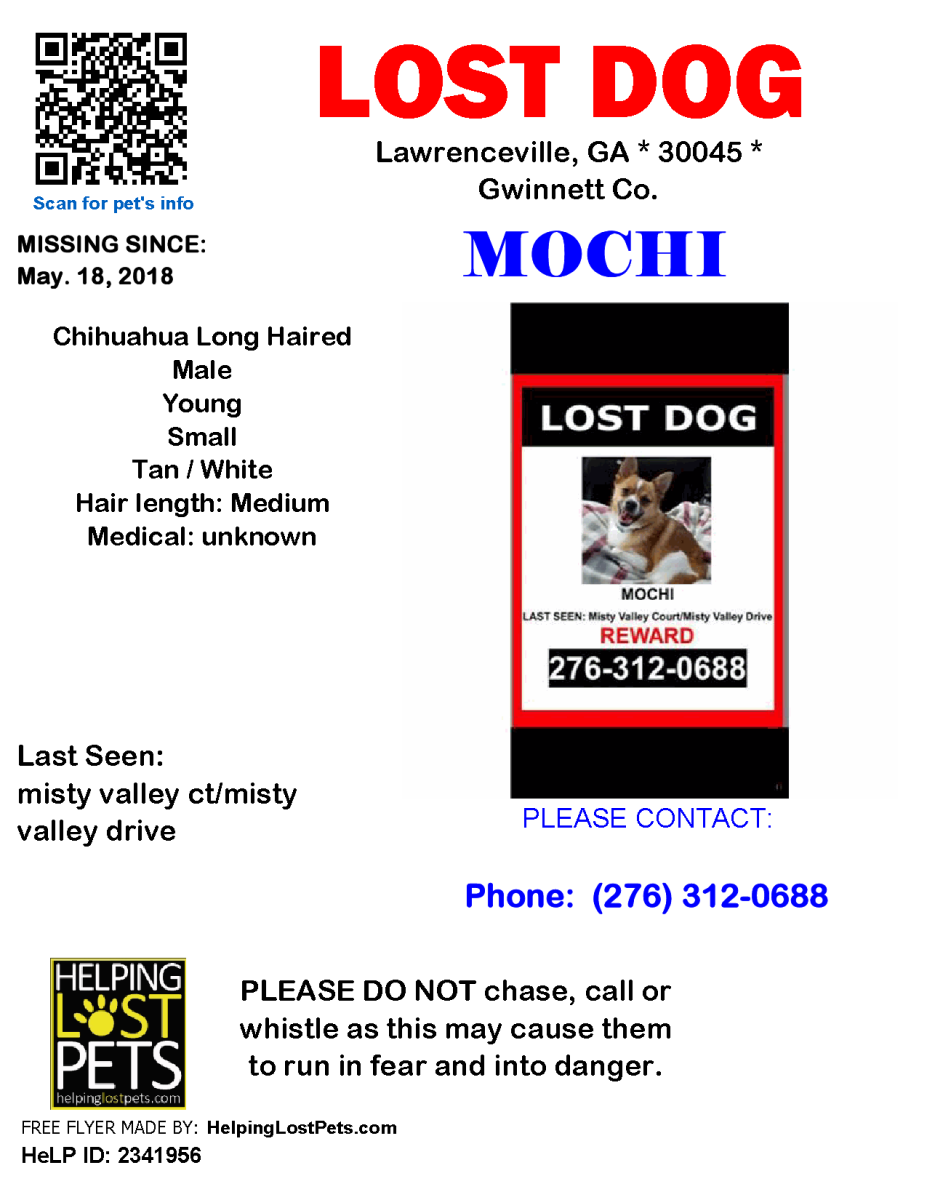 Image of Mochi, Lost Dog