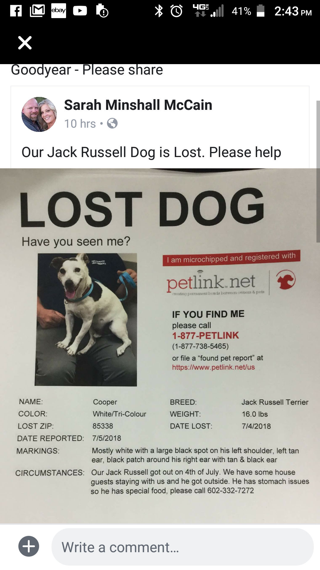 Image of Cooper, Lost Dog