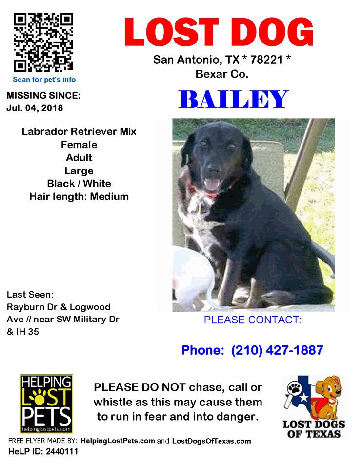 Image of BAILEY, Lost Dog
