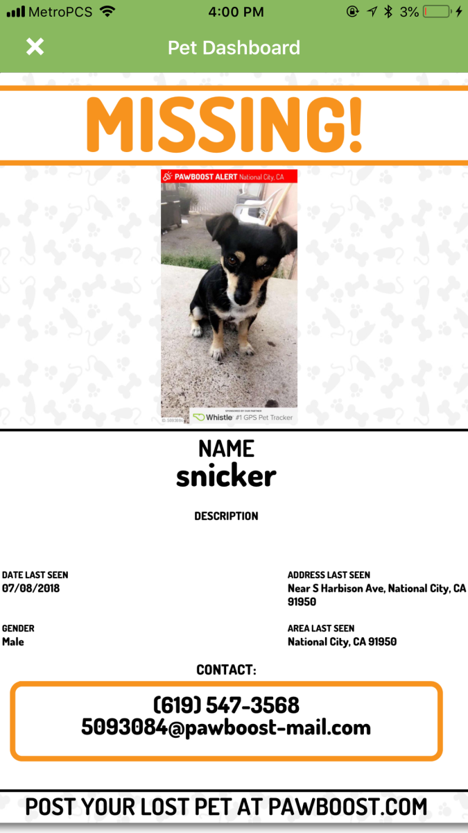 Image of Snicker, Lost Dog