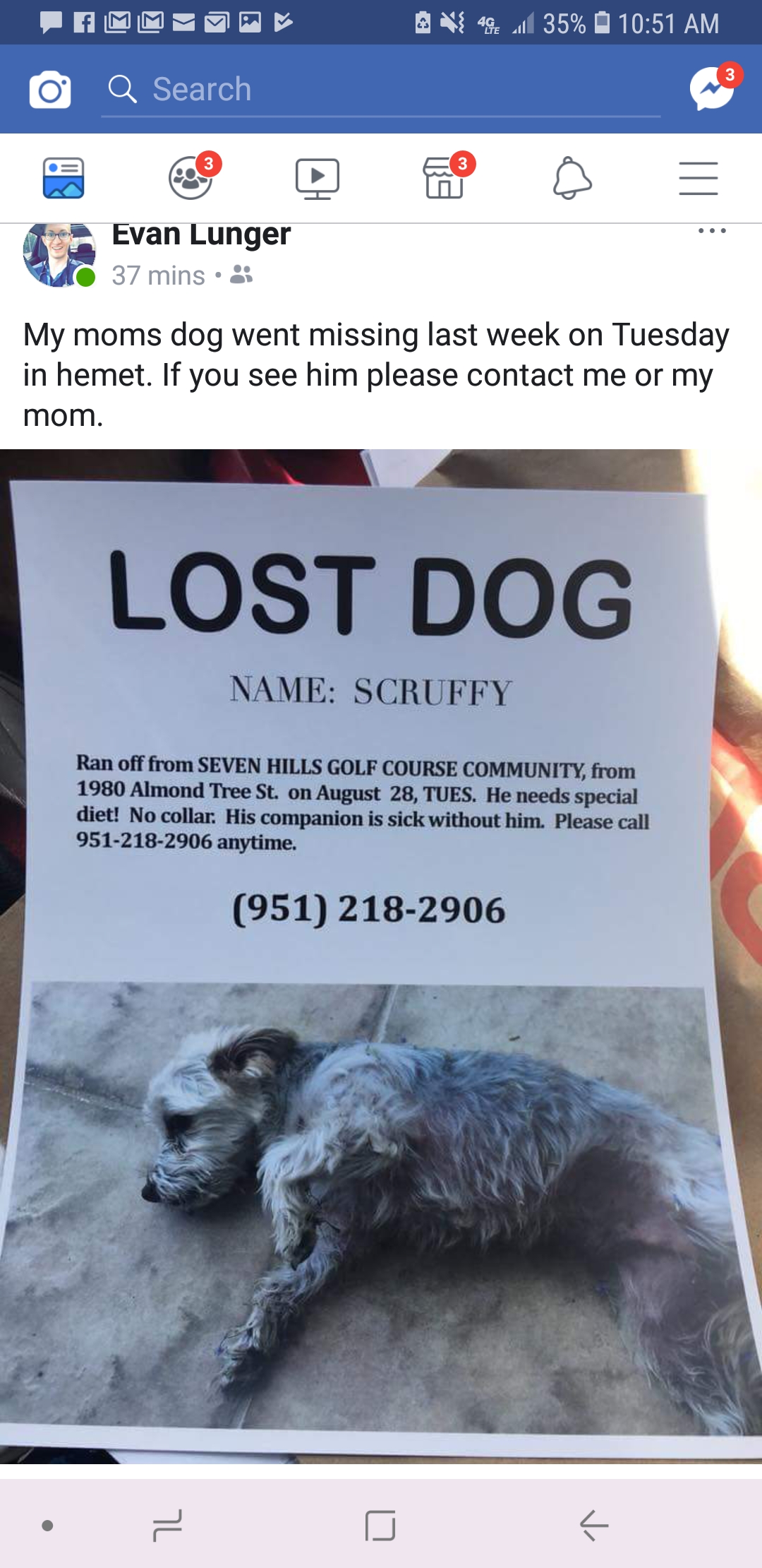 Image of Scruffy, Lost Dog