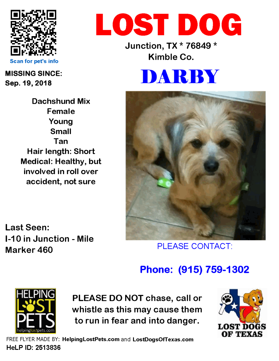 Image of Darby, Lost Dog