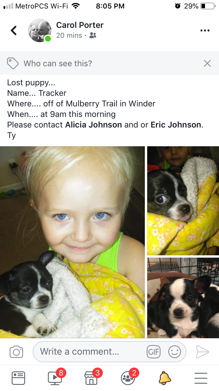 Image of Tracker, Lost Dog