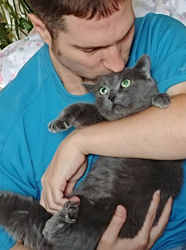 Image of TEAL, Lost Cat