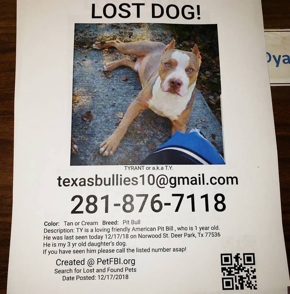 Image of Tyrant, Lost Dog