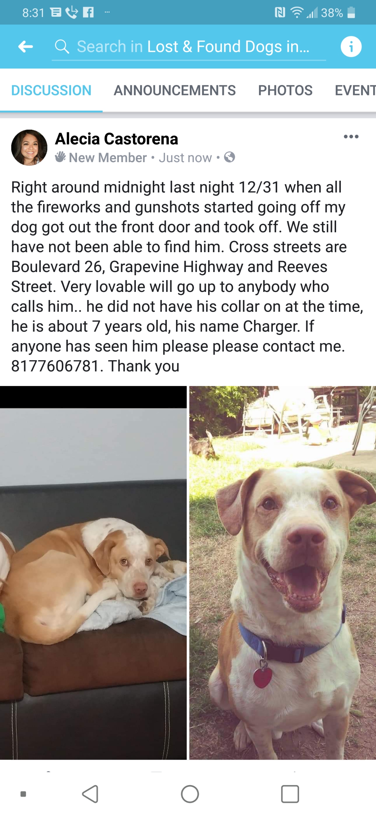 Image of Charger, Lost Dog