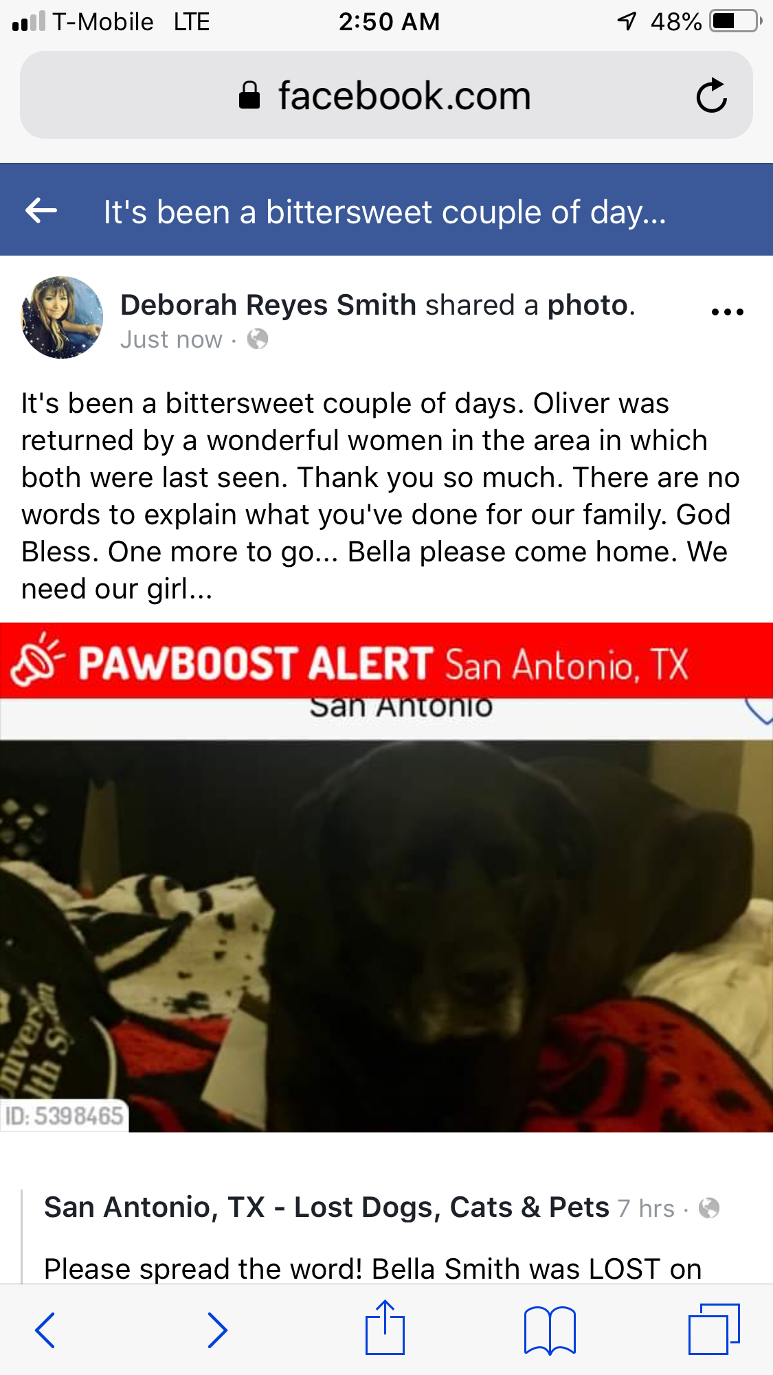 Image of Bella Smith, Lost Dog