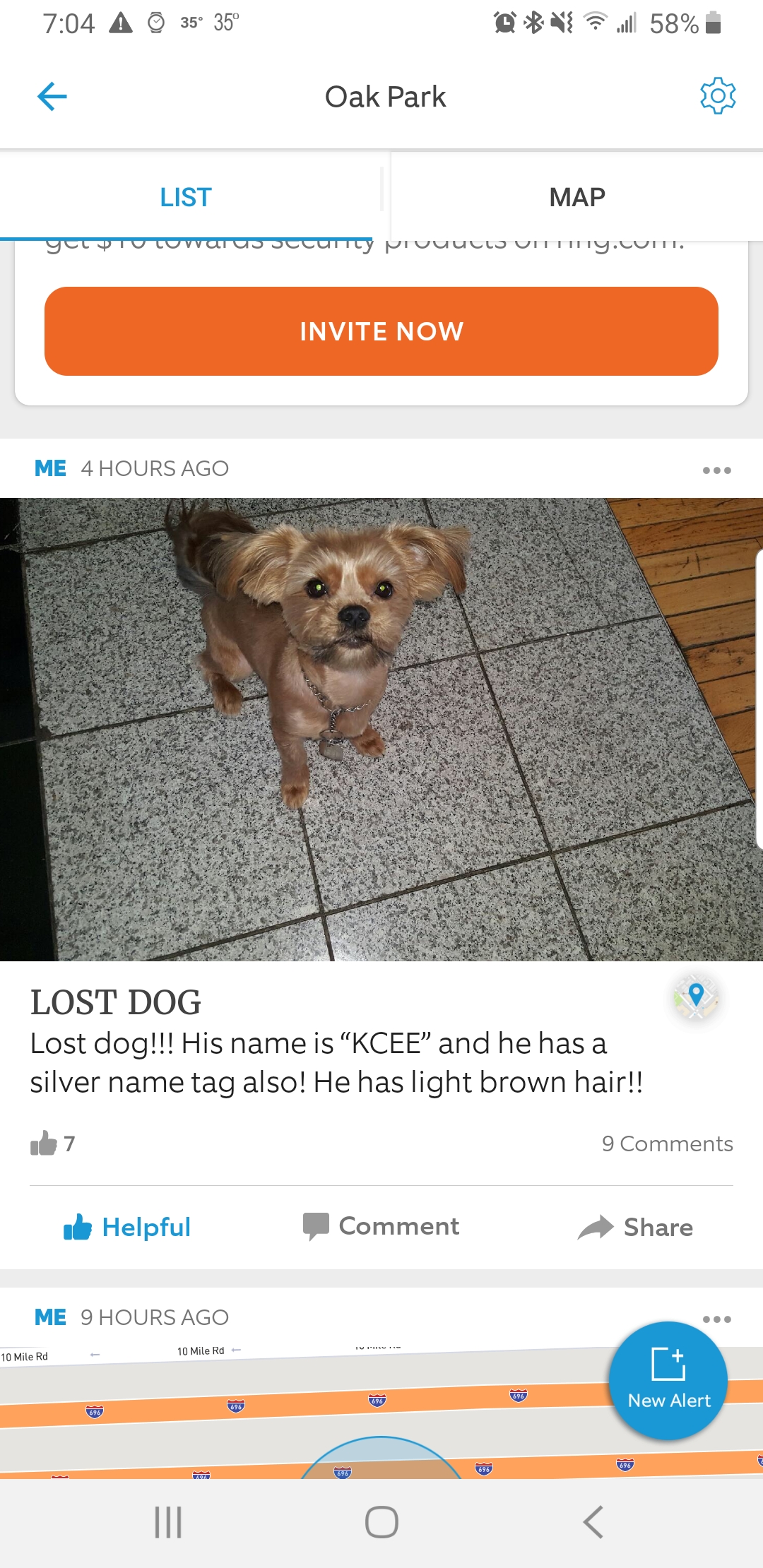 Image of Kcee, Lost Dog