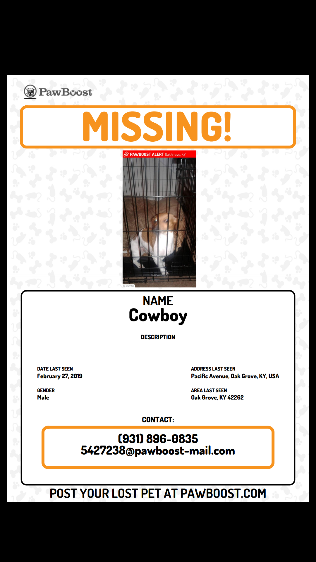 Image of Cowboy, Lost Dog