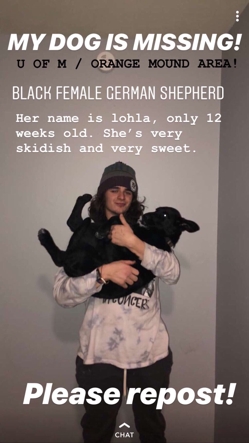 Image of Lohla, Lost Dog