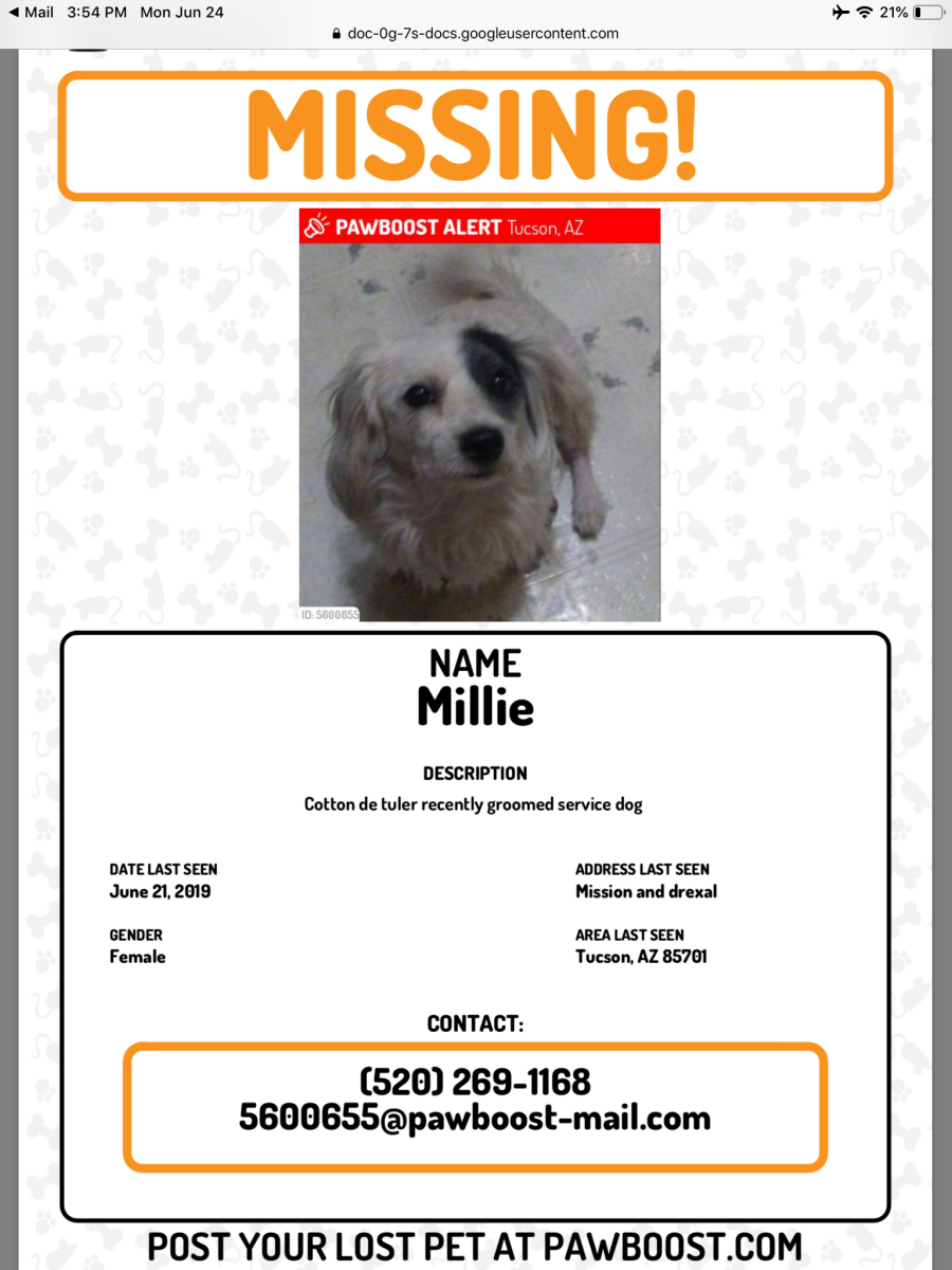 Image of Milli, Lost Dog
