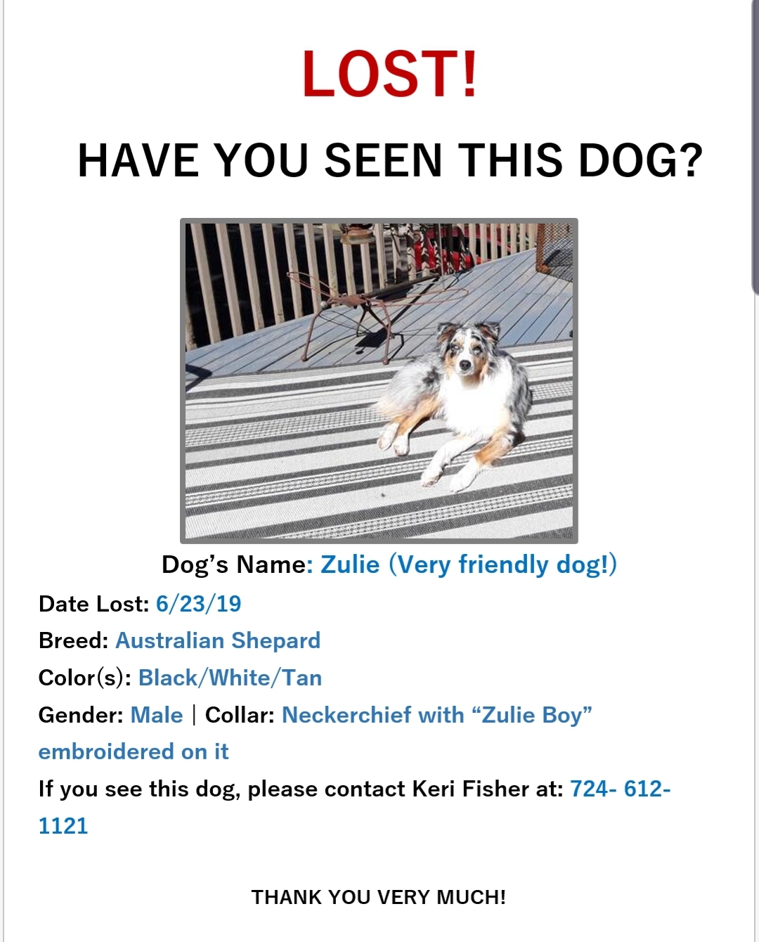 Image of Zulie, Lost Dog
