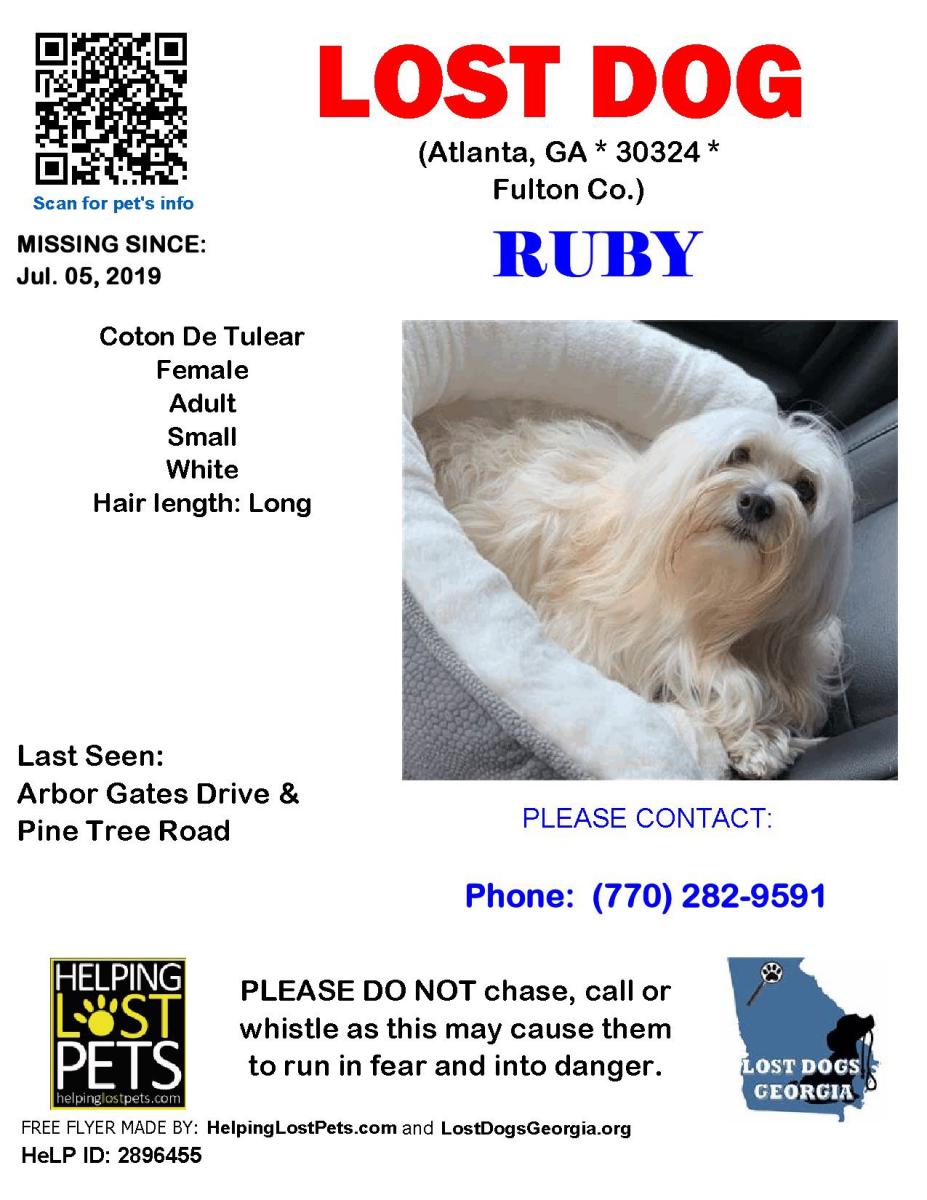 Image of RUBY, Lost Dog
