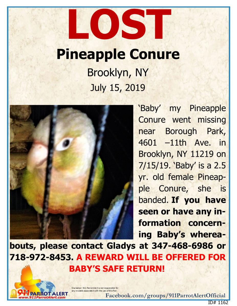 Image of Baby, Lost Bird
