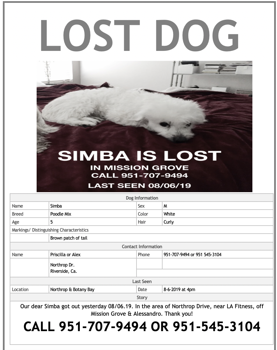 Image of Simba, Lost Dog
