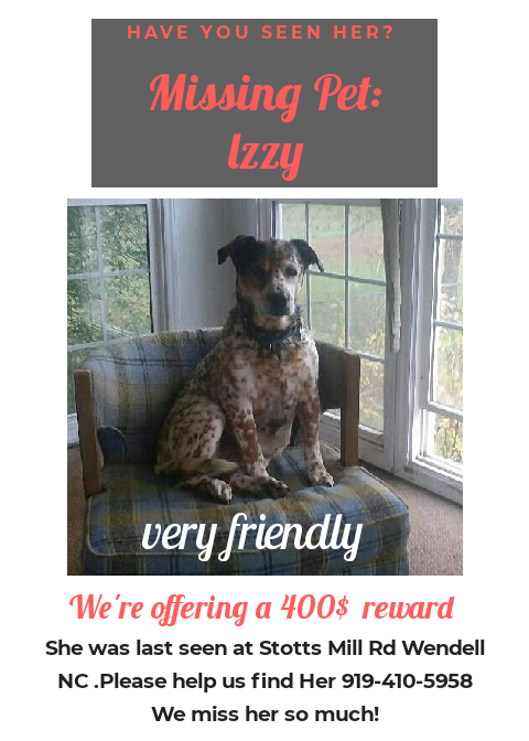 Image of Lizzy, Lost Dog