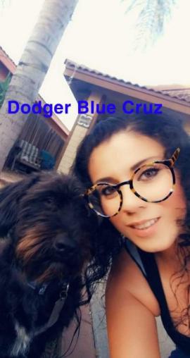 Image of Dodger Blue Cruz, Lost Dog
