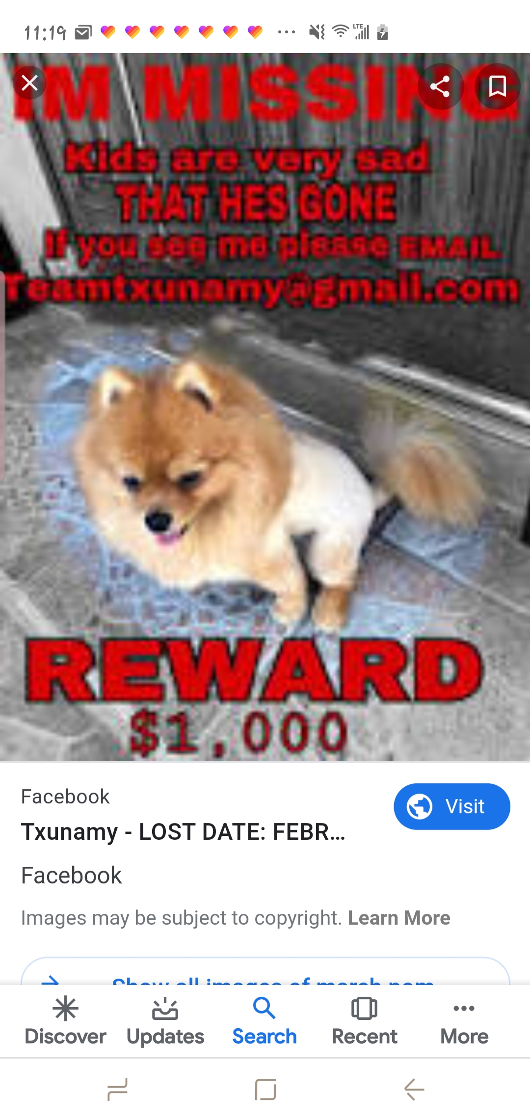 Image of Marchpom, Lost Dog